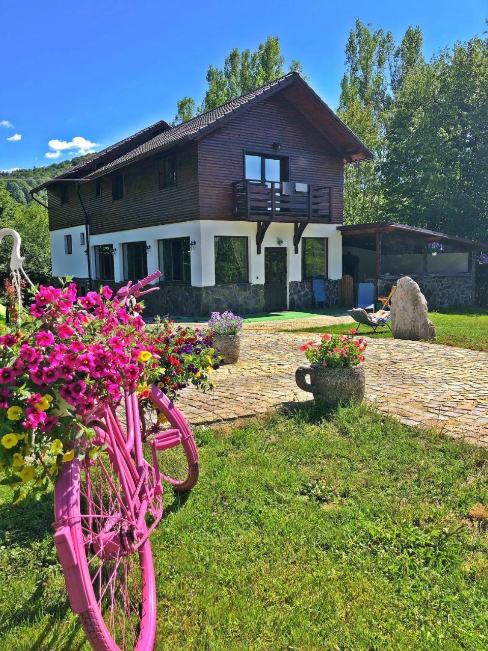 Cabana Din Groapa Frumoasa Risnov Exterior photo